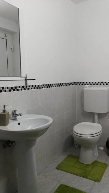 Фото номера Двухместный номер с 1 кроватью и собственной ванной комнатой Загородные дома Casa Cu Flori г. Mihai Viteazu 7