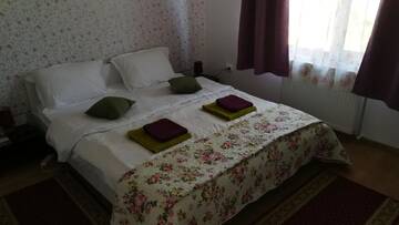 Фото номера Семейный номер Загородные дома Casa Cu Flori г. Mihai Viteazu 5